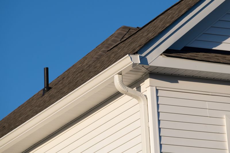 Vinyl Gutters Installation